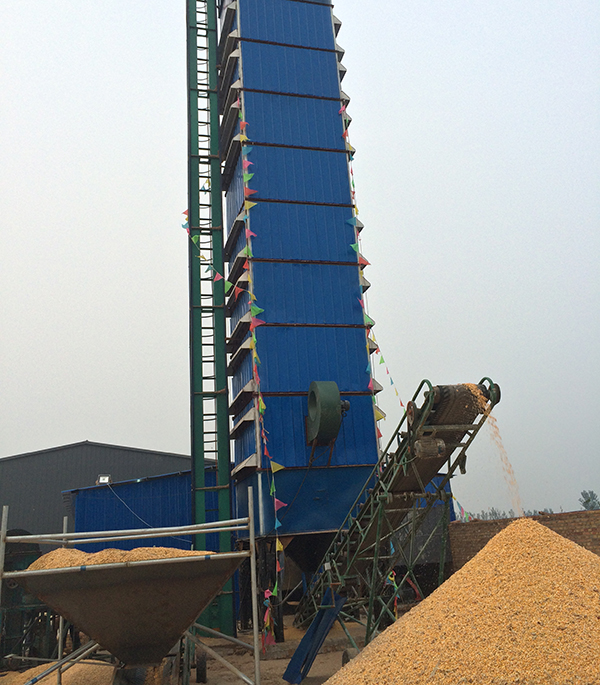 Corn Dryer-4(图1)