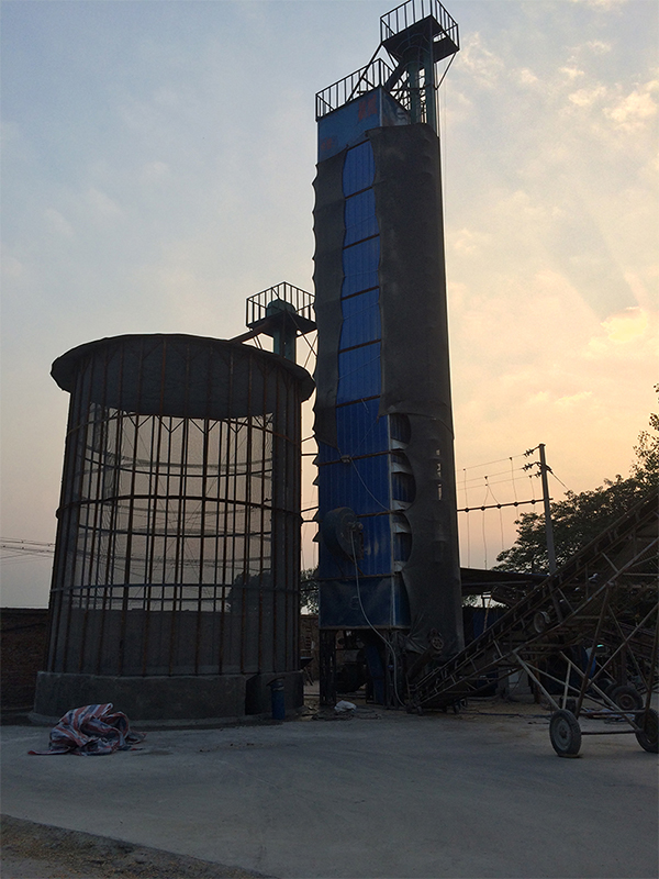 Rice Dryer-2(图1)