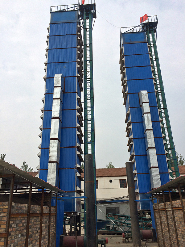 Wheat Dryer-3(图1)