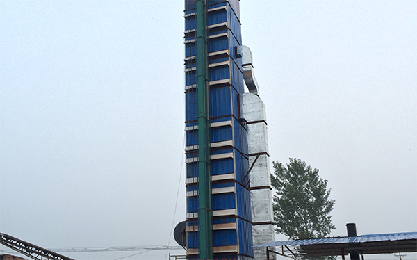 Soybean Dryer-1(图1)