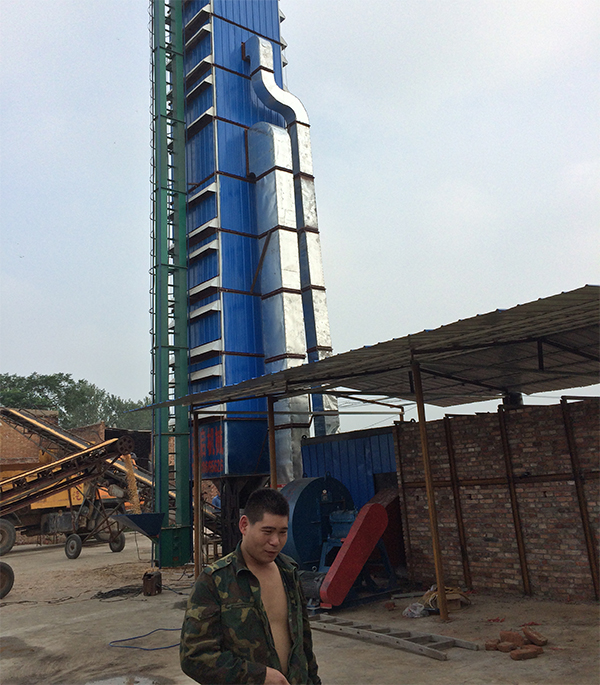 Seed Dryer-3(图1)